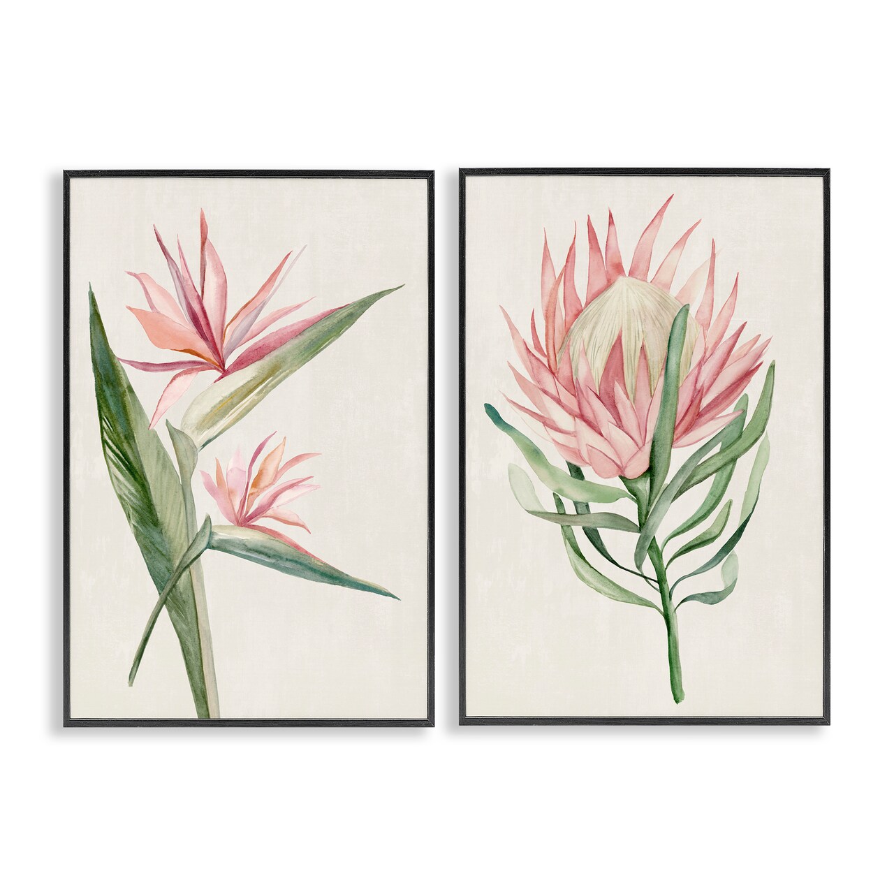 Stupell Industries Tropical Grace Botanicals 2 Piece Black Framed Giclee Art Set, design by Hannah Dawson